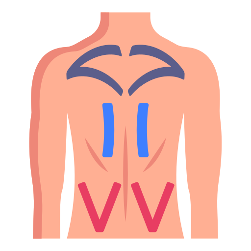 Liposuction free icon