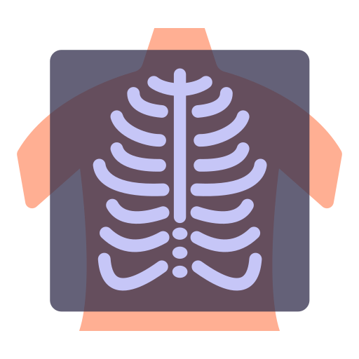 x ray icon png