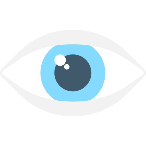 Eye Flat Color Flat icon