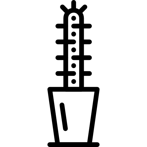 Cactus free icon