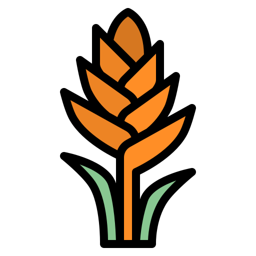 Bromeliad  free icon