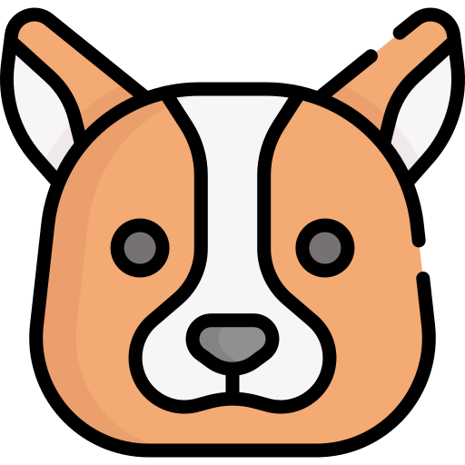 Dog Special Lineal color icon