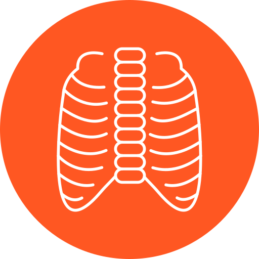 X ray free icon X ray free icon