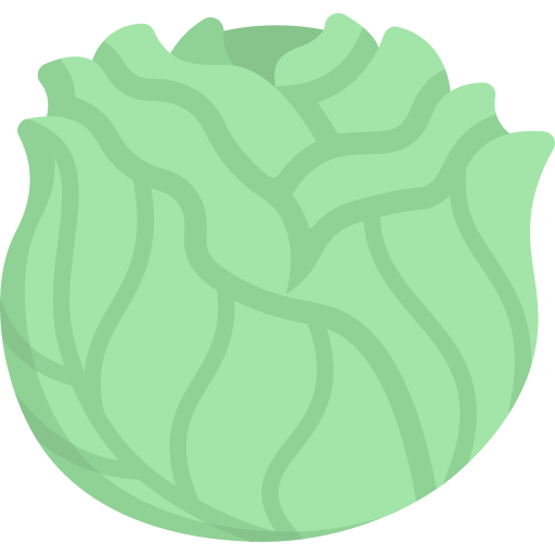 Cabbage free icon Cabbage free icon