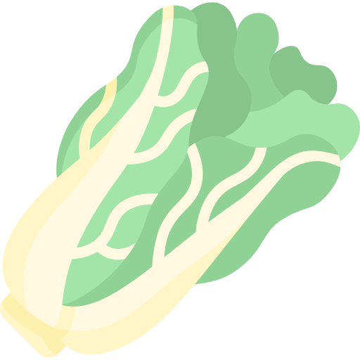 Cabbage free icon Cabbage free icon