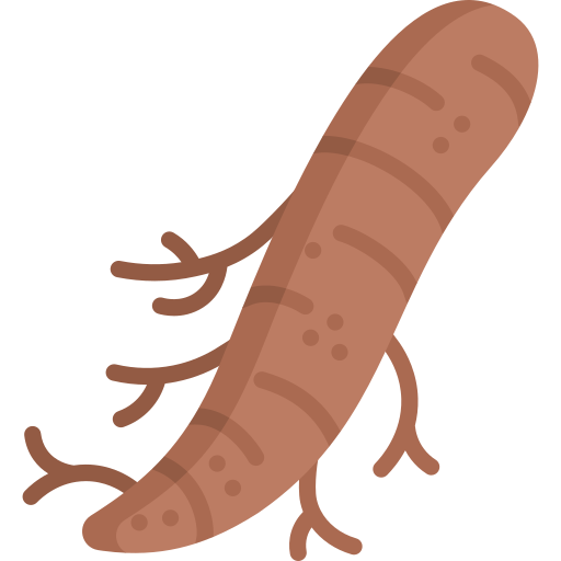 Arrowroot free icon Arrowroot free icon