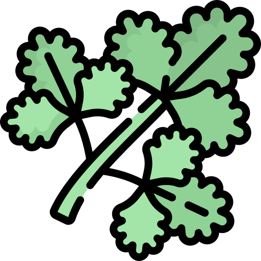 Coriander free icon
