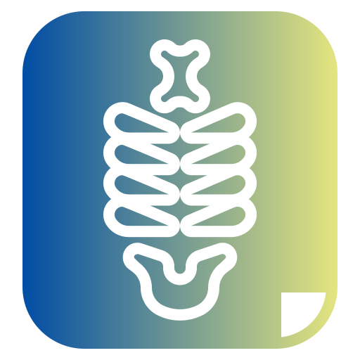 X ray Generic Flat Gradient icon