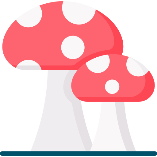 Mushroom Special Flat icon