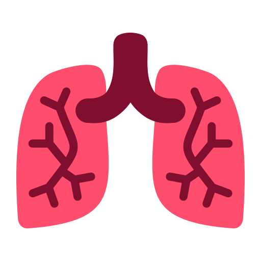 poumons Icône gratuit