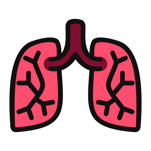 Lungs Generic Outline Color icon