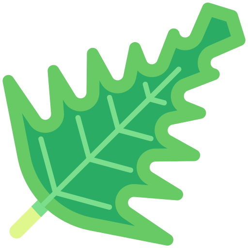 frisee бесплатно иконка frisee бесплатно иконка