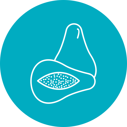 파파야 무료 아이콘 파파야 무료 아이콘