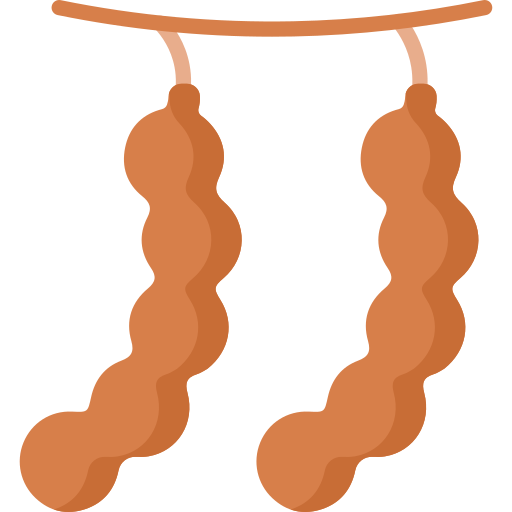 tamarindo grátis ícone tamarindo grátis ícone