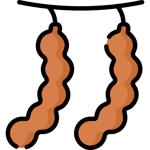tamarindo grátis ícone tamarindo grátis ícone