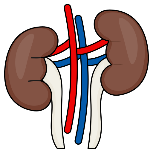 Kidneys free icon Kidneys free icon