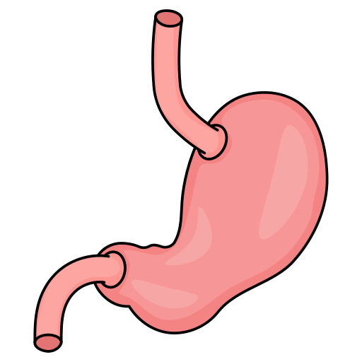 bauch kostenlos Icon bauch kostenlos Icon