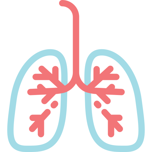 Lungs Generic Outline Color icon