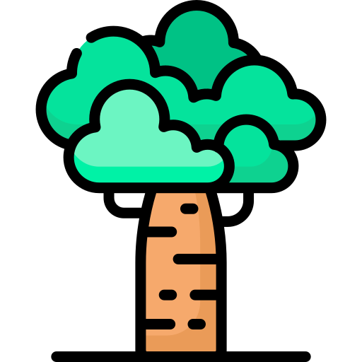 baobab icono gratis