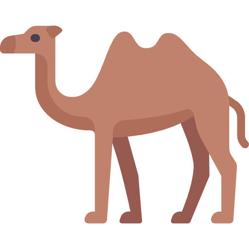 Camel pink Coat