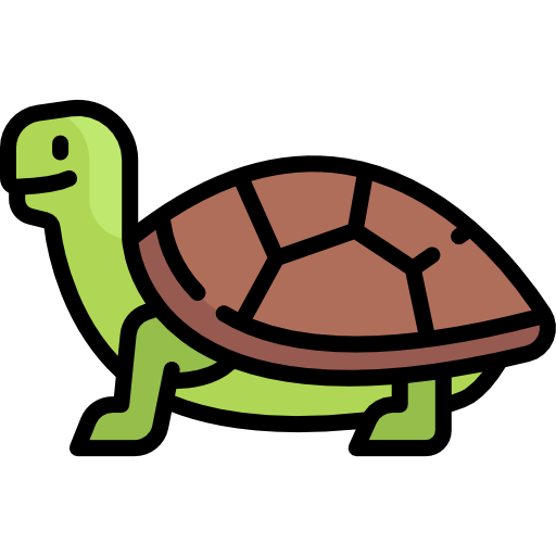 Free Icon Turtle