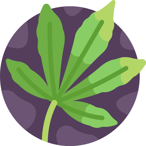 maconha grátis ícone