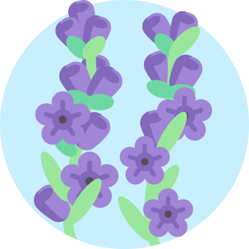 lavanda icono gratis