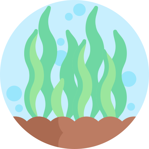 Algae Detailed Flat Circular Flat icon