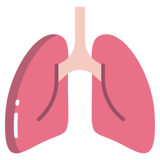 Lungs Icongeek26 Flat icon