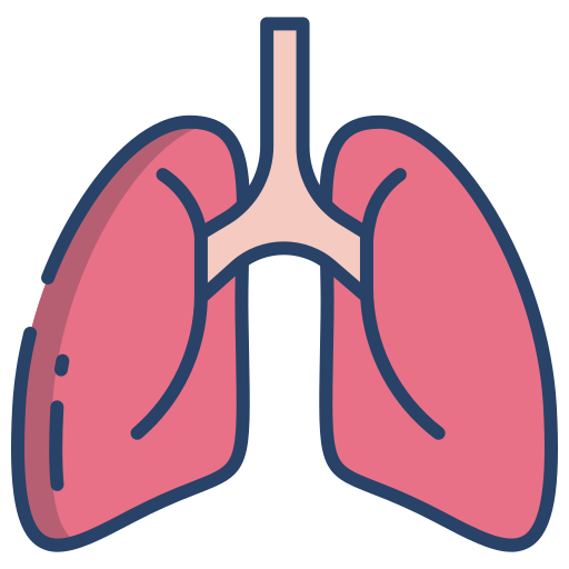 pulmones icono gratis