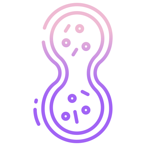 Mitosis - Free education icons