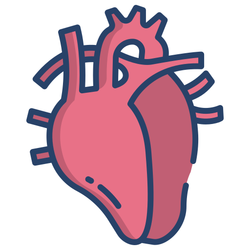 Free: Heart,human - Human Heart Png Gif 