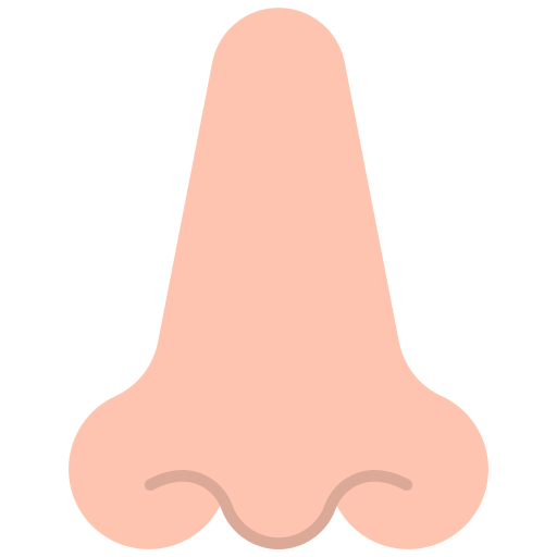 rinologia grátis ícone rinologia grátis ícone