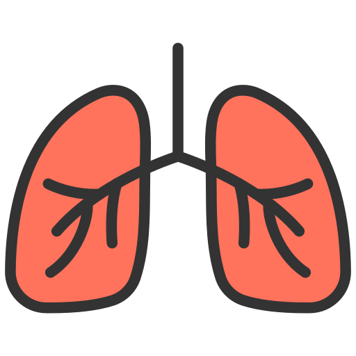 Pulmonology Generic Outline Color icon