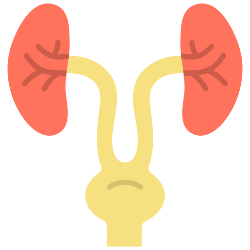 Urology free icon