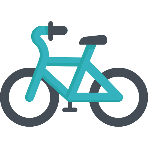 Bicycle Special Flat Icon