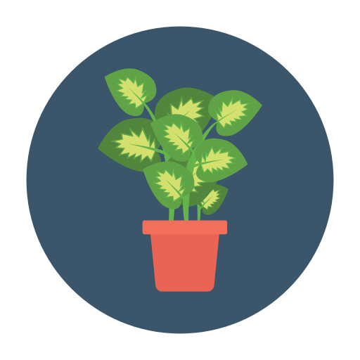 planta icono gratis