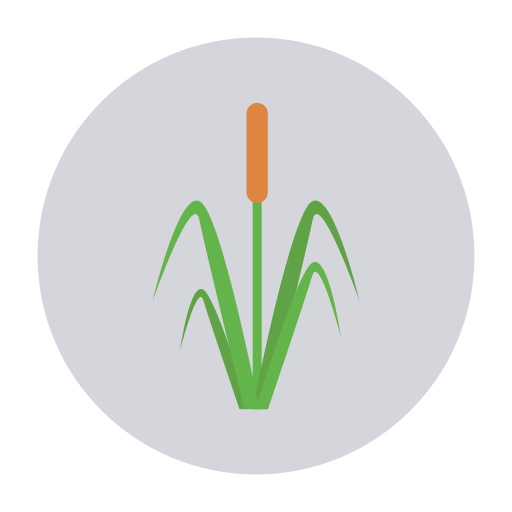 Reed free icon