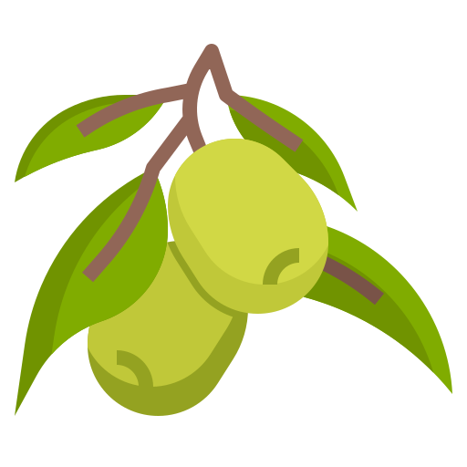 aceituna icono gratis