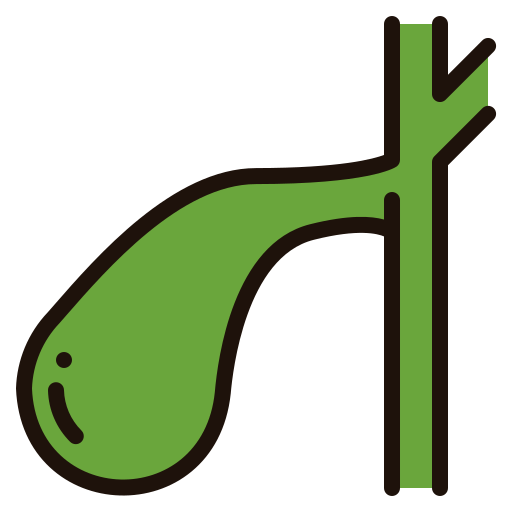 Gallbladder Generic Outline Color Icon