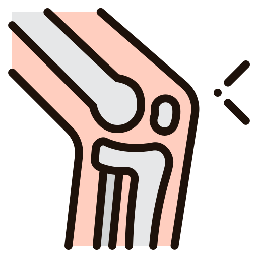 Knee Generic Outline Color Icon