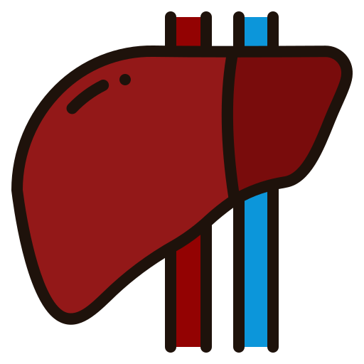 Liver Generic Outline Color icon