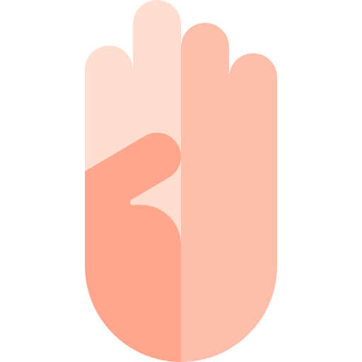 Sign Language Basic Straight Flat Icon