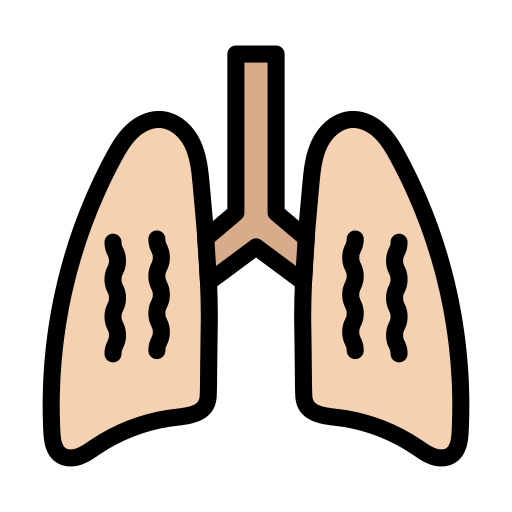 pulmones icono gratis