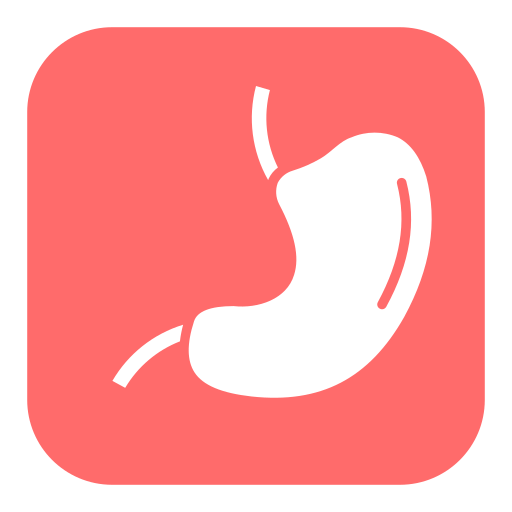 Stomach Generic Flat Icon 1167