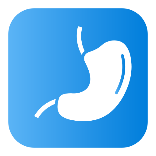 Stomach Generic Flat Gradient icon