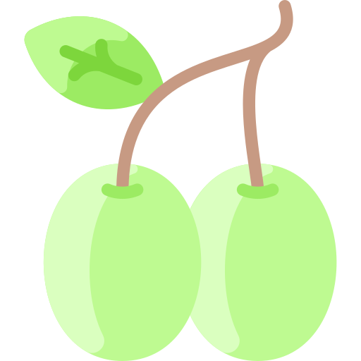 aceituna icono gratis