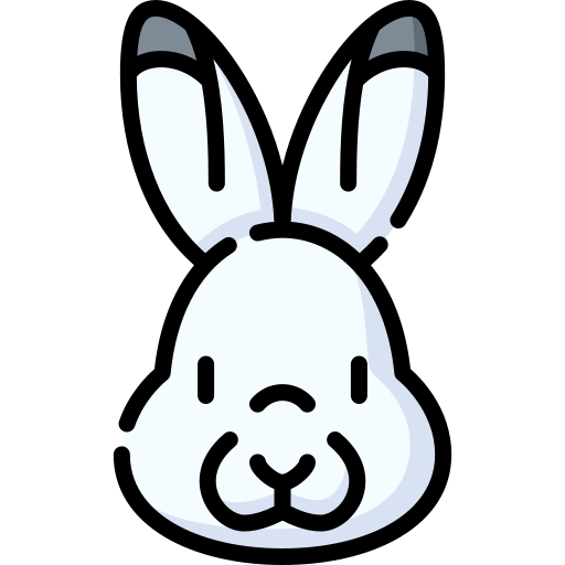 Arctic Hare Special Lineal Color Icon