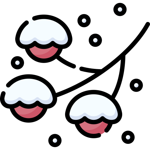 Snow free icon Snow free icon