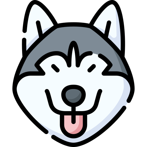 Husky Special Lineal color icon